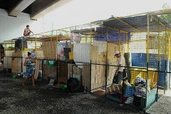 2016-01-29-Slums in Manila-05