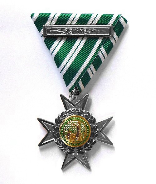 Silbernes Ehrenkreuz der Lazarus Union für besondere Leistungen 500