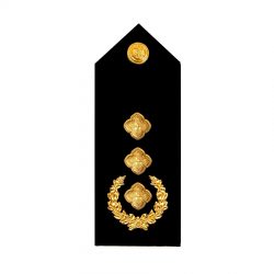 [:de]Offiziere (Epauletten)[:en]Officers (Epaulettes)[:]