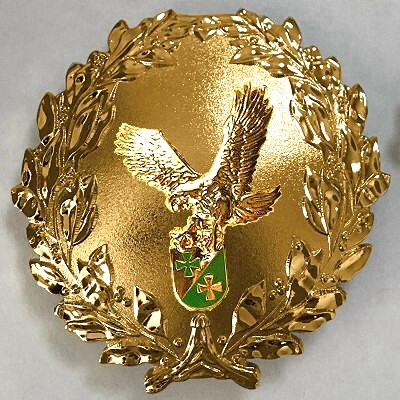 Formationsabzeichen GOLD roh 400 AIR WING